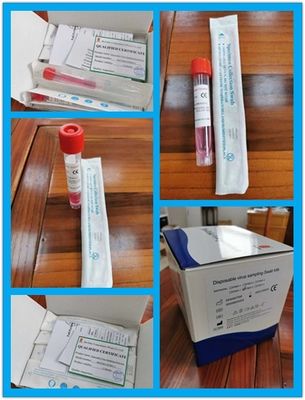 10ml Tek Kullanımlık Numune Toplama Tüpü